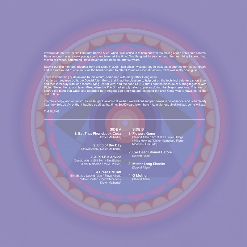 Gong In The 70's RSD 2022 (Vinyle)