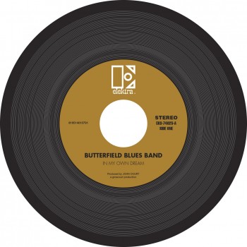 The Butterfield Blues Band - In My Own Dream   